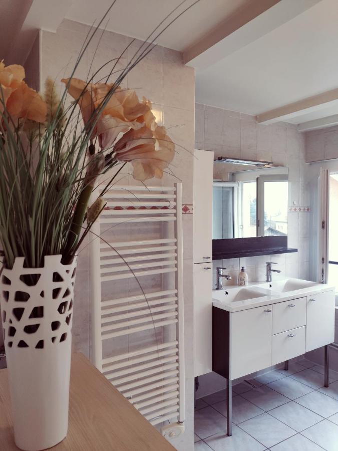 Apartmán Au Bord Du Foron Scionzier Exteriér fotografie